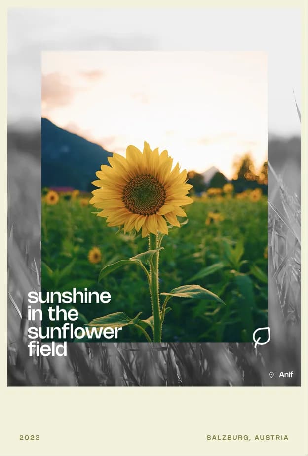 v_card_2
